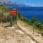 Maya 2 *